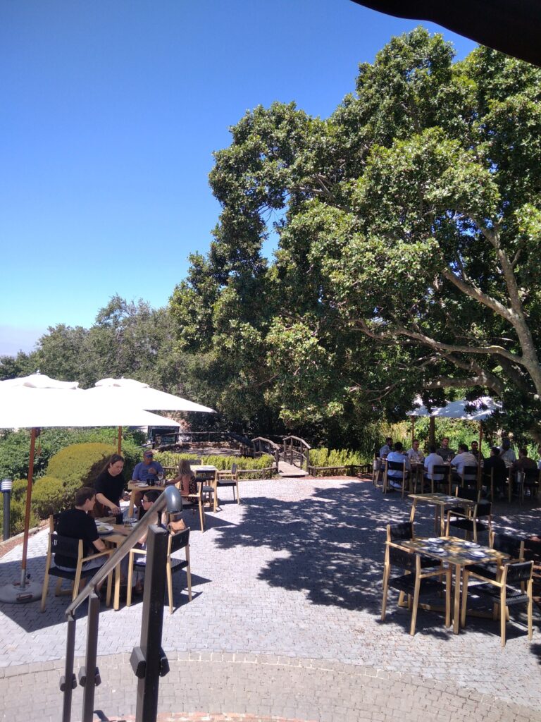 Wylde Vy Bistro: a High Class Restaurant in the Heart of Durbanville
